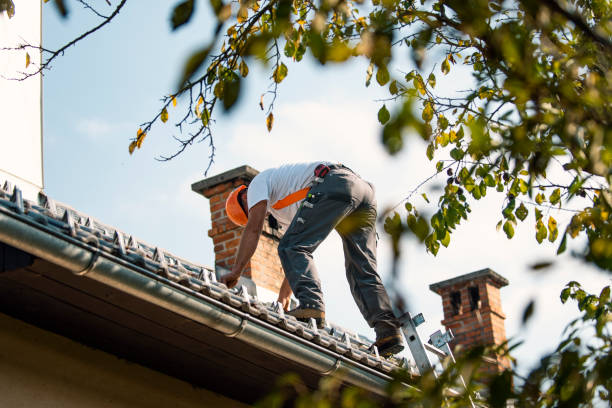 Best Sealant for Roof  in Footville, WI